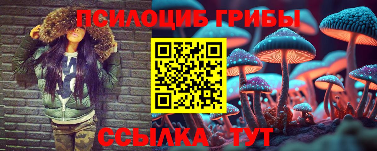 Семилуки  Галлюциногенные грибы Psilocybe  Вход с VPN 